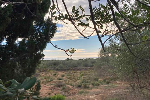 Finca i El Perello, Tarragona, El Perello - € 77.000 | Ref: Finca Manu Ampo - foto 19